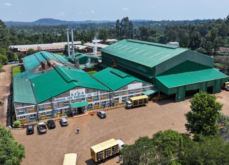 the historical journey of momul tea factory