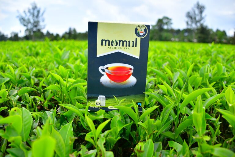 The Finest Tea Experience in Kenya